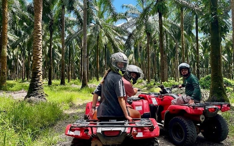 How Gap Year Programs Transform Your Career and Education